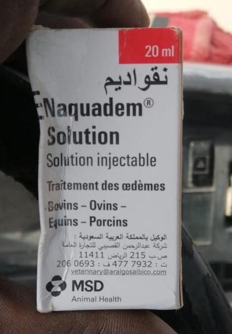 Enaquadem.jpg