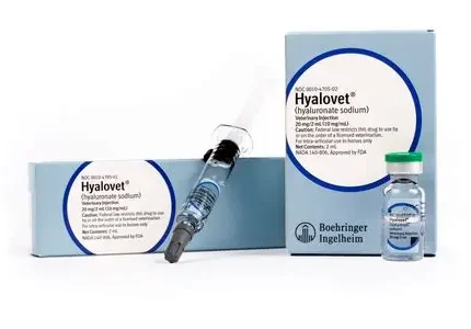Buy Hyalovet Injection 20mg/2mL Online - Vet Pharma Med