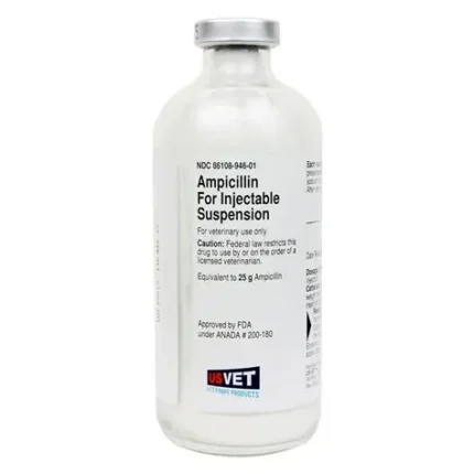 Buy Ampicillin Powder for Injectable Suspension for Cattle, Dogs and Cats Online