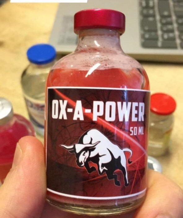 OX-e1614965465731.jpg