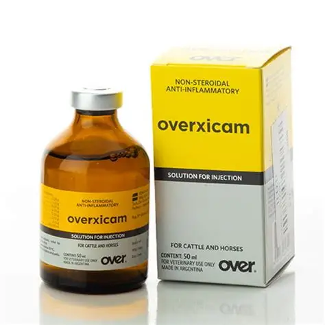 Buy Overxicam 50ml Injection Online