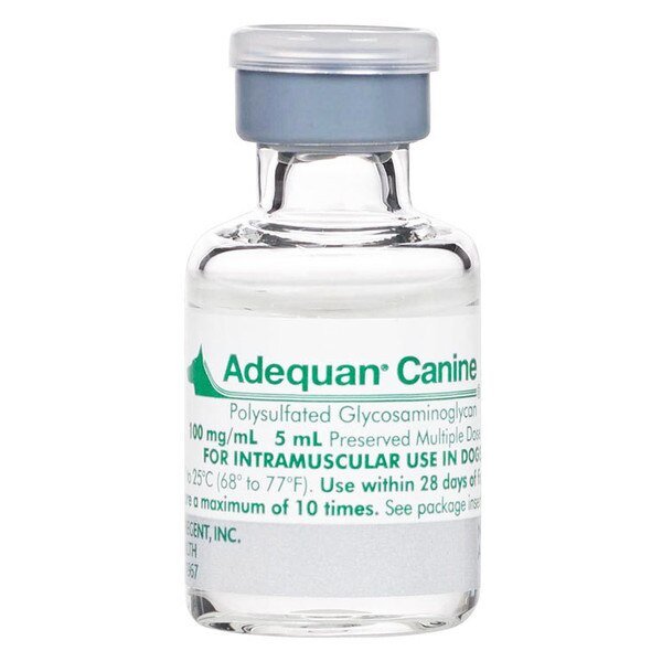 Adequan Canine 100mg/5ml Injection Buy Adequan Canine 100mg/5ml Injection Online
