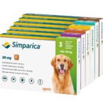 Buy Simparica Chewable Tablets for Dogs Online