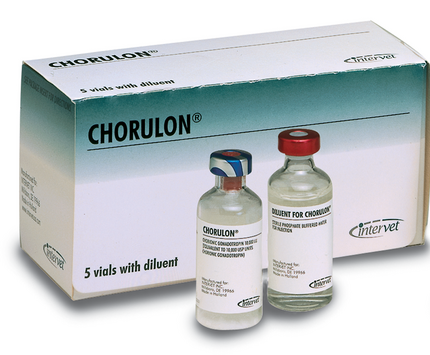Buy Chorulon HCG Injection For Cattle Online