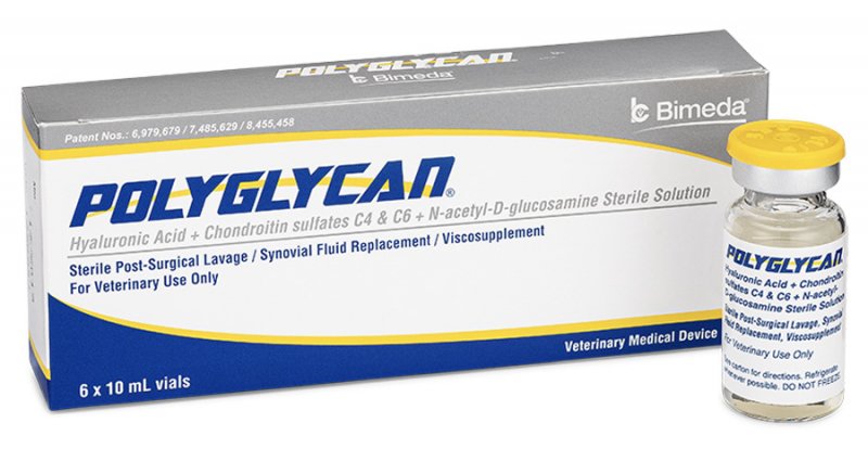 Polyglycan 10ml Sterile Solution Buy Polyglycan 10ml Sterile Solution Online - Vet Pharma Med