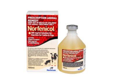 Buy Norfenicol Injection (Florfenicol) Solution for Beef and Non-Lactating Dairy Cattle Online