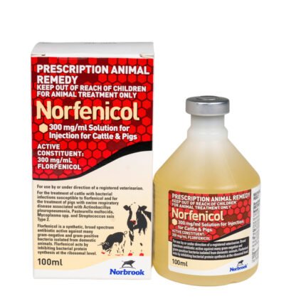 Buy Norfenicol Injection (Florfenicol) Solution for Beef and Non-Lactating Dairy Cattle Online