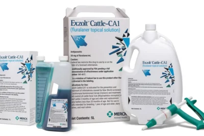 Exzolt Cattle-CA1 Pour-On for Beef and Dairy Cattle Shop Exzolt Cattle-CA1 Pour-On for Beef and Dairy Cattle Online - Vet Pharma Med