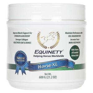 Equinety Horse XL