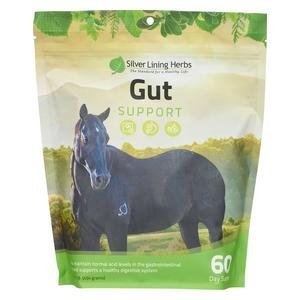 Gut Support Herbal Formula for Horses