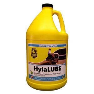 HylaLUBE Concentrated Hyaluronic Acid for Horses
