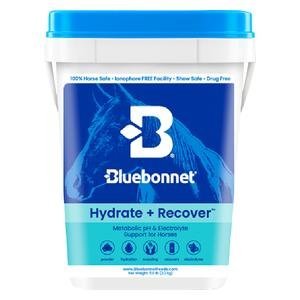 Hydrate + Recover Horse Supplement