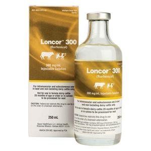 Loncor 300 (Florfenicol) Injectable Solution for Cattle