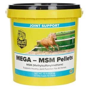 Mega-MSM for Horses
