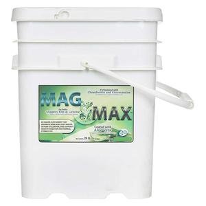 Mag Max for Horses