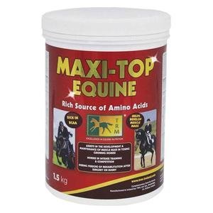 Maxi-Top Equine