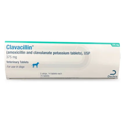 Buy Amoxicillin Trihydrate and Clavulanate Potassium for Dogs and Cats Online