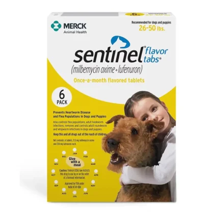 Buy Revolution for Dogs Online