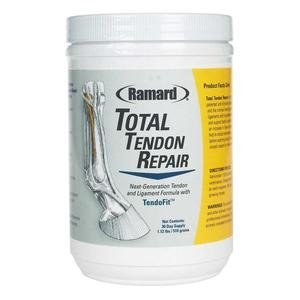 Total Tendon Repair for Horses