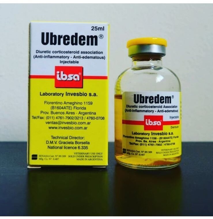 ubredem-e1629401862905-1.jpg