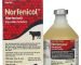 Buy Norfenicol (Florfenicol) Solution for Beef and Non-Lactating Dairy Cattle Online
