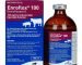 Shop Enroflox 100 for Beef Cattle, Non-Lactating Dairy Cattle and Swine Online